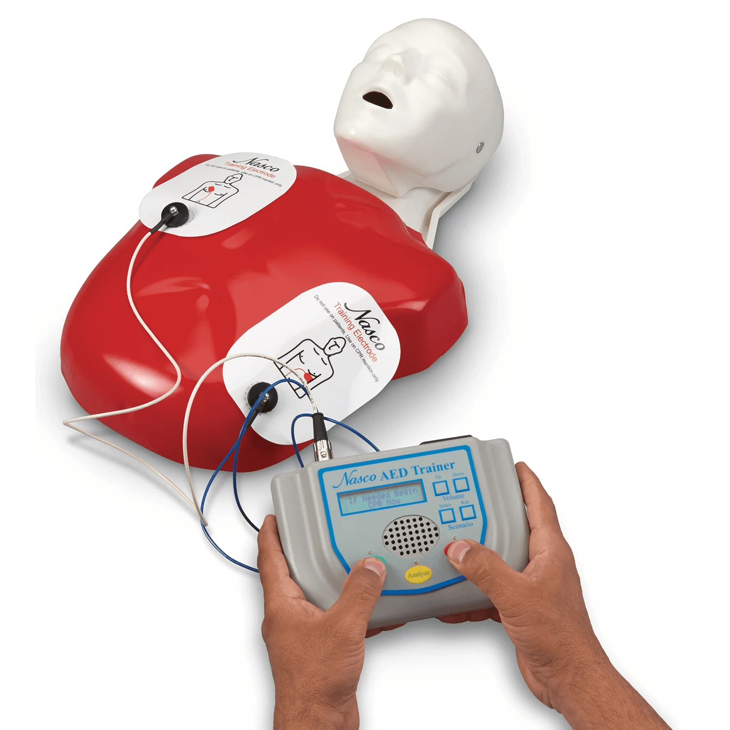 AED Training