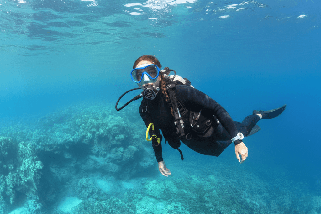 Nha Trang Bay updated