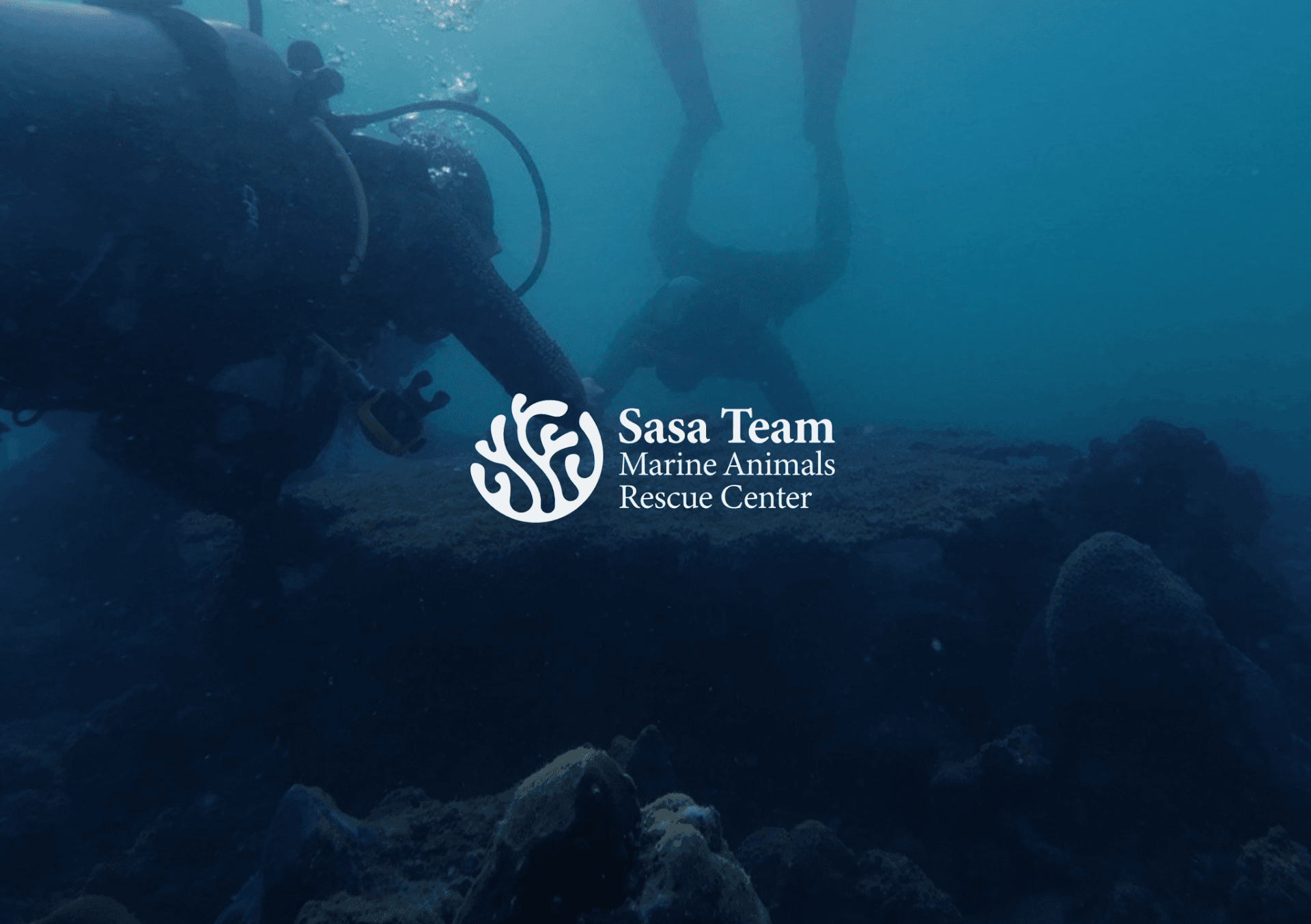 Sasa Team Marine Animals Rescue - underwater conservation work